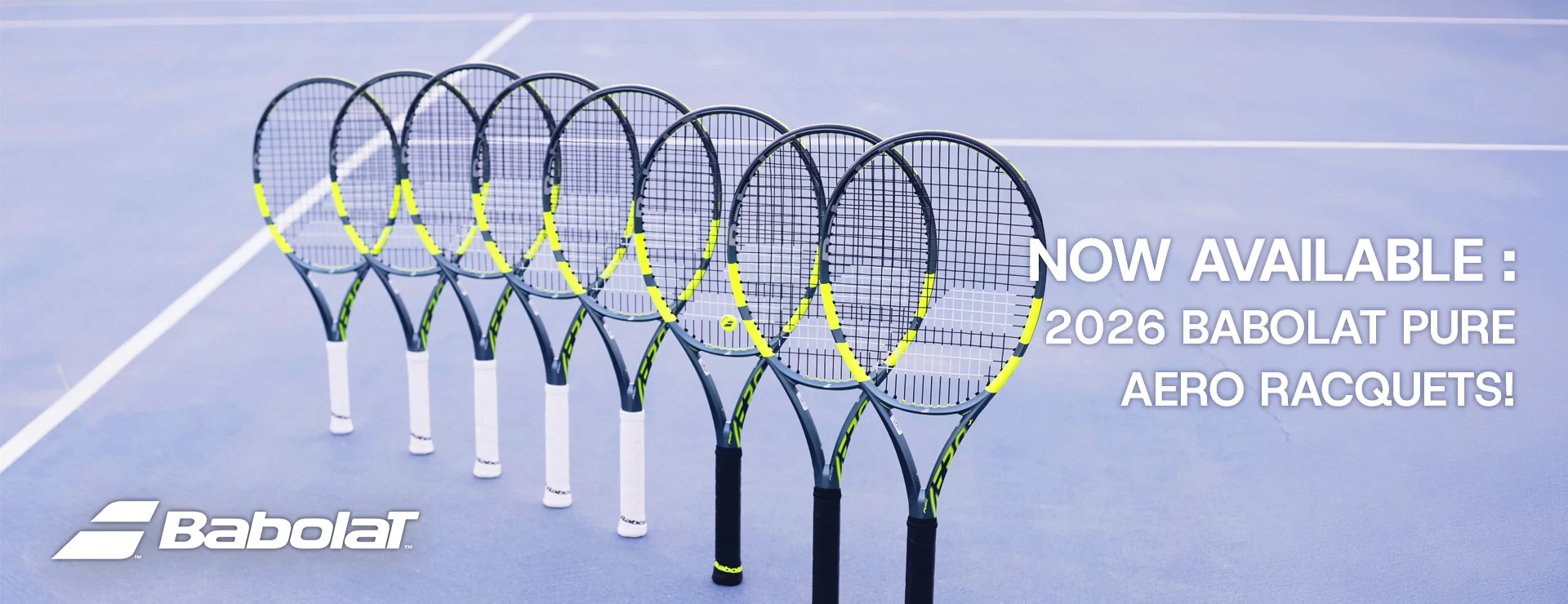 Master Every Court Today